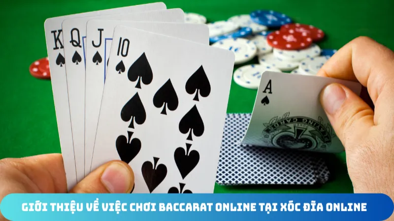 gioi thieu ve viec choi baccarat online tai xoc dia online