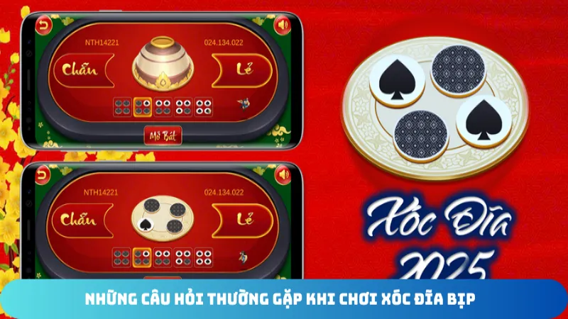 nhung cau hoi thuong gap khi choi xoc dia bip