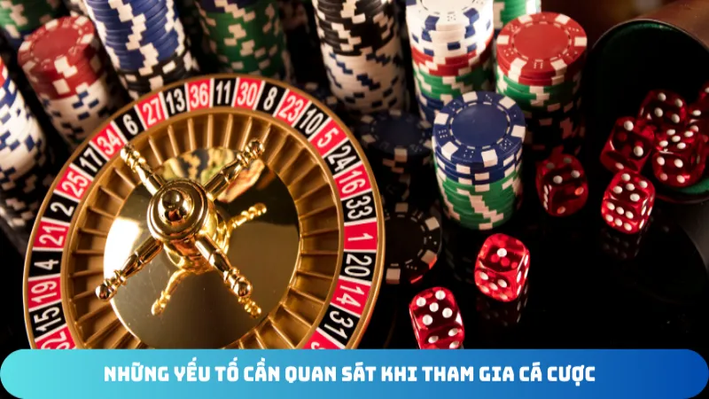 nhung yeu to can quan sat khi tham gia ca cuoc