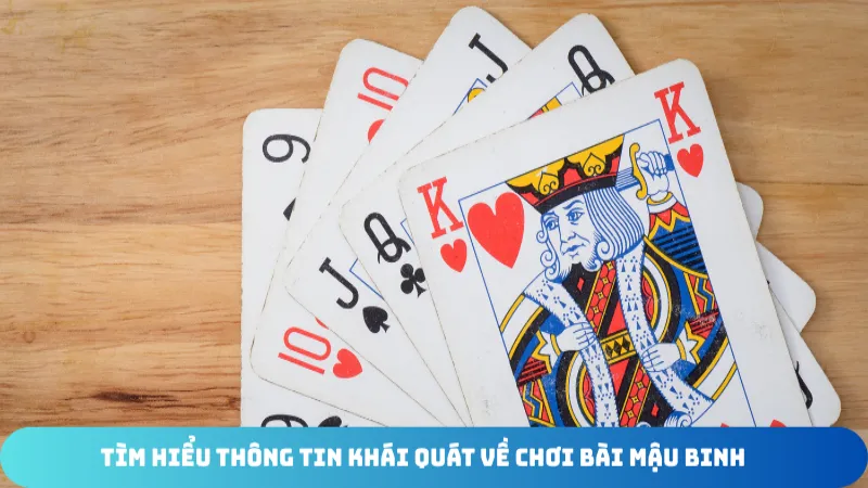 tim hieu thong tin khai quat bai mau binh