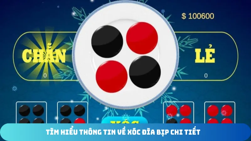 tim hieu thong tin ve xoc dia bip chi tiet