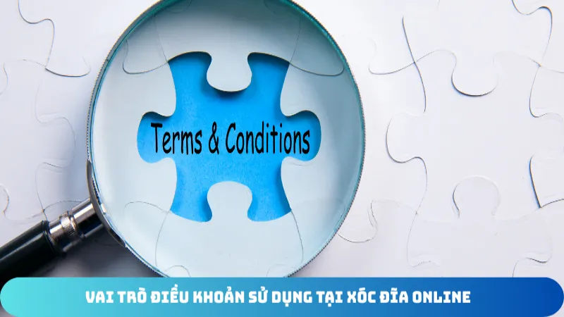 vai tro dieu khoan su dung tai xoc dia online